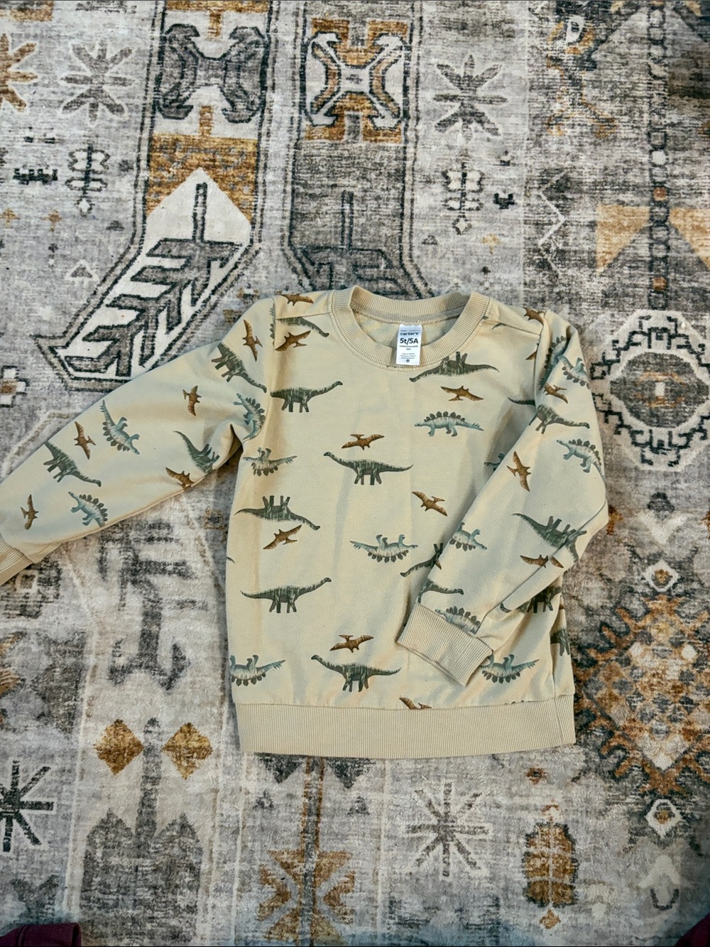 Carter's Sage Dinosaur Print Crewneck Sweatshirt